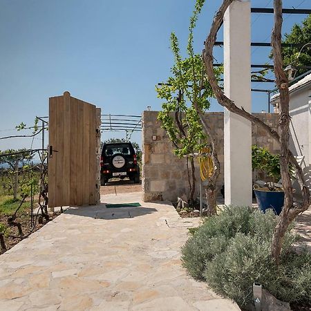 Holiday Home Vineyard House بول المظهر الخارجي الصورة