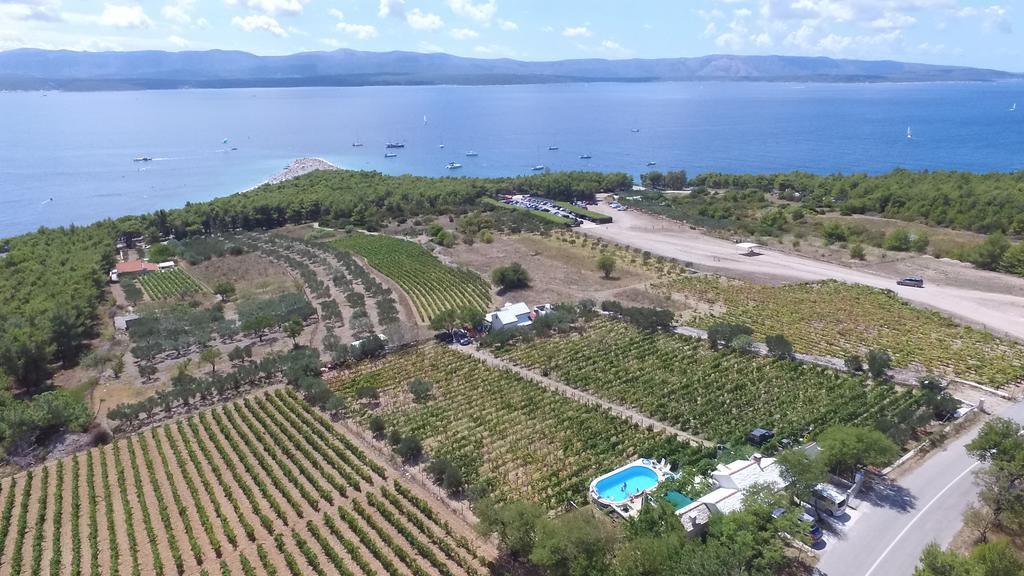 Holiday Home Vineyard House بول المظهر الخارجي الصورة