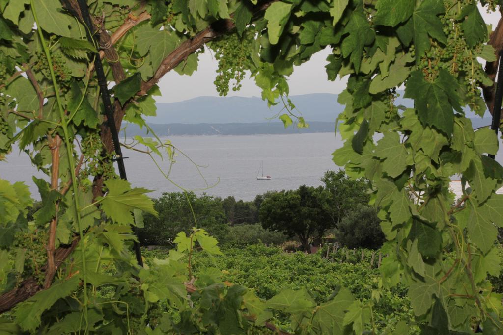 Holiday Home Vineyard House بول الغرفة الصورة