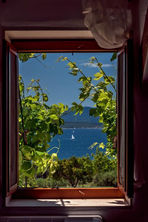 Holiday Home Vineyard House بول المظهر الخارجي الصورة