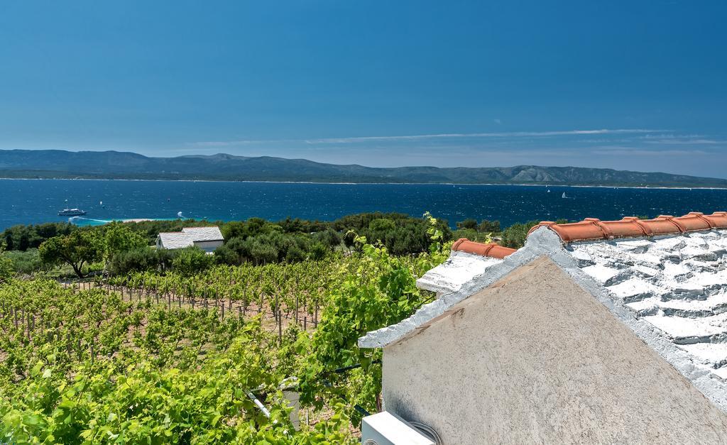 Holiday Home Vineyard House بول المظهر الخارجي الصورة