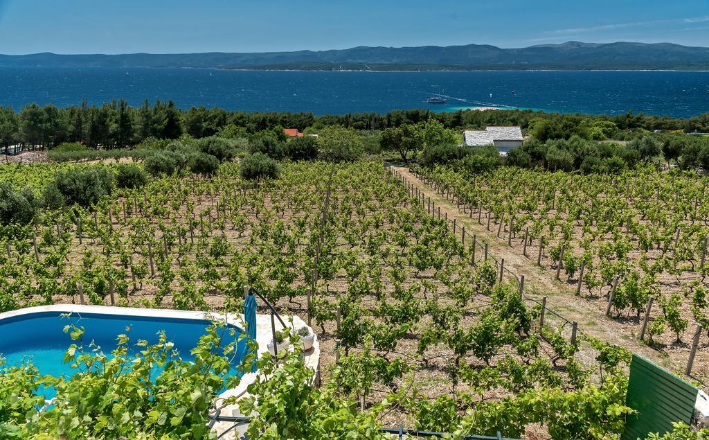 Holiday Home Vineyard House بول المظهر الخارجي الصورة