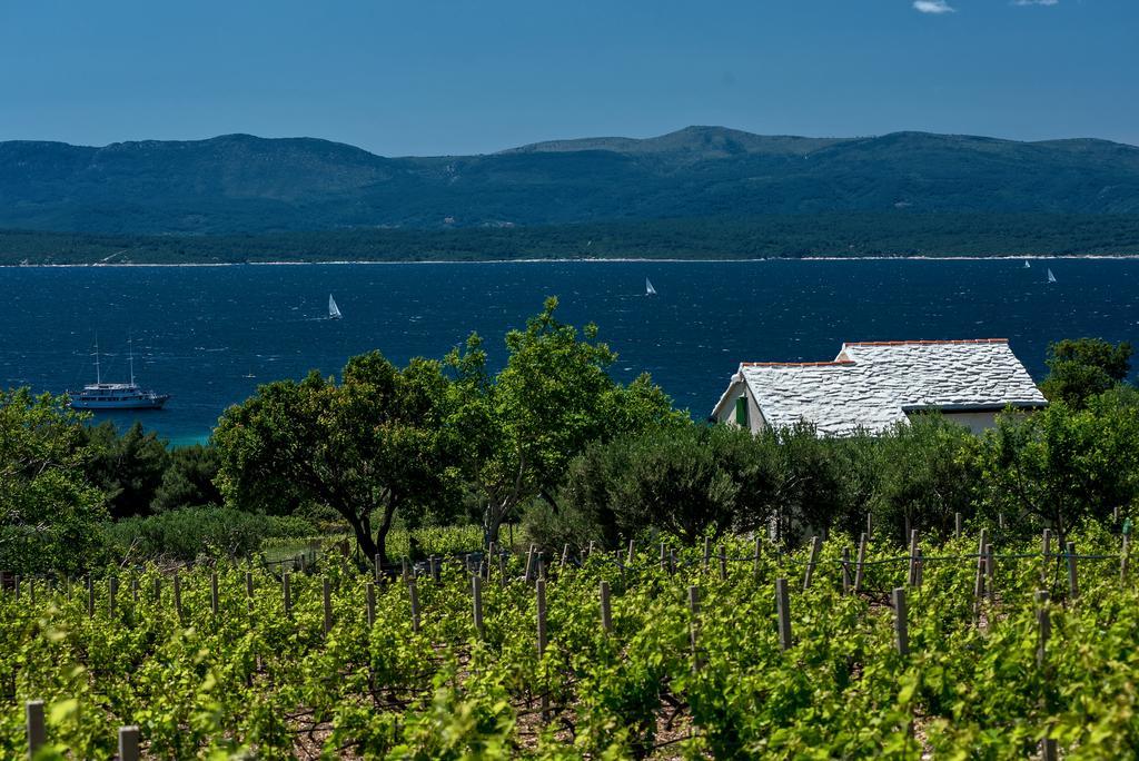 Holiday Home Vineyard House بول المظهر الخارجي الصورة