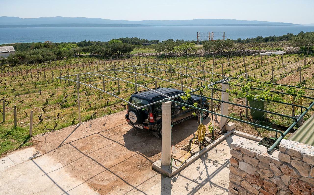 Holiday Home Vineyard House بول المظهر الخارجي الصورة