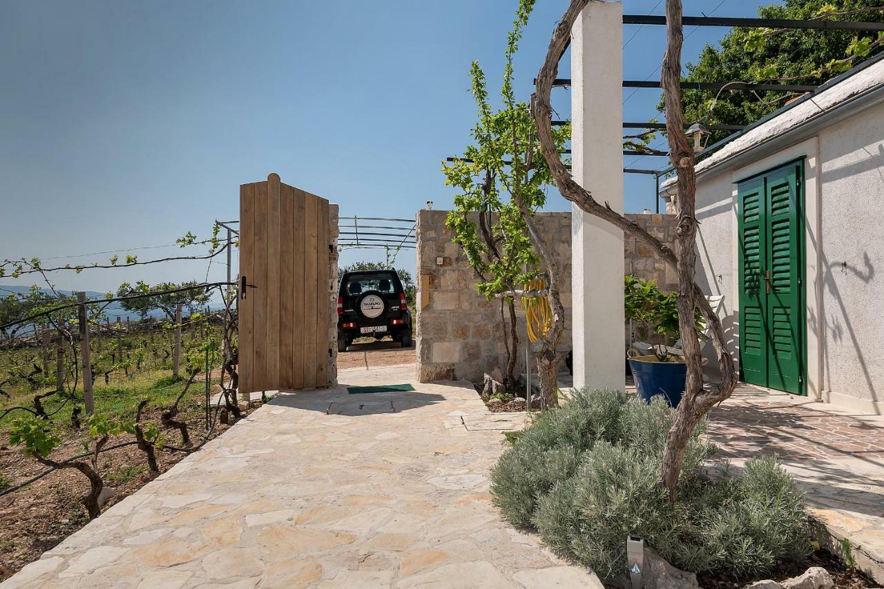 Holiday Home Vineyard House بول المظهر الخارجي الصورة