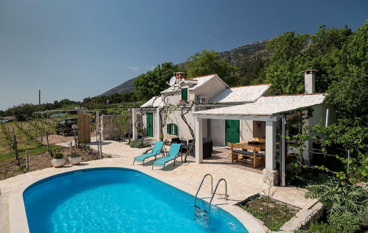 Holiday Home Vineyard House بول المظهر الخارجي الصورة