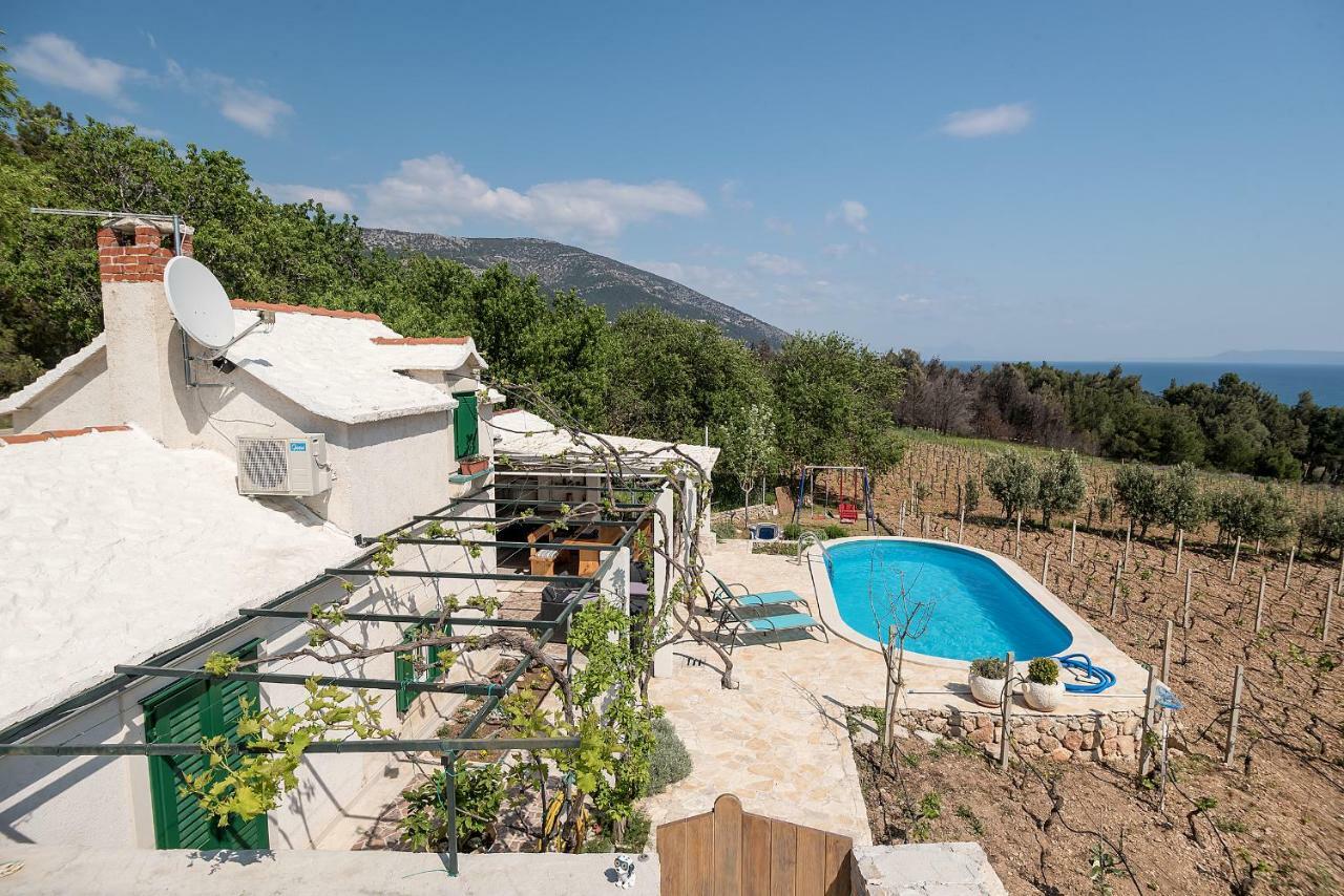 Holiday Home Vineyard House بول المظهر الخارجي الصورة